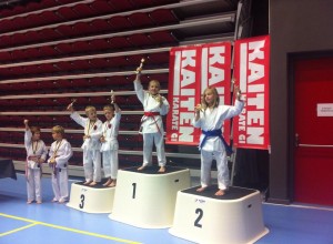 Ippon 2013.1