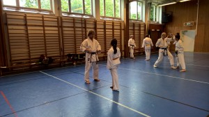 WP_20150808_13_20_07_Pro